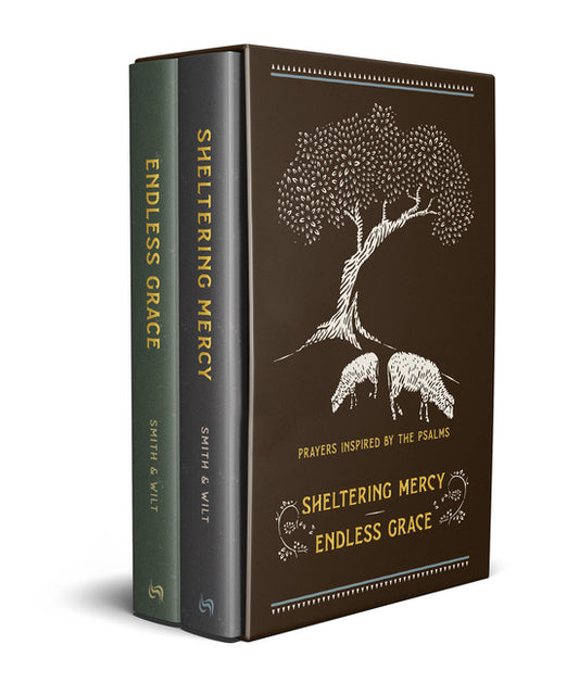 Prayers Inspired by the Psalms Boxed Set - Ingram