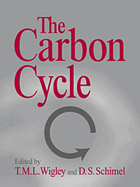 Carbon Cycle - Ingram