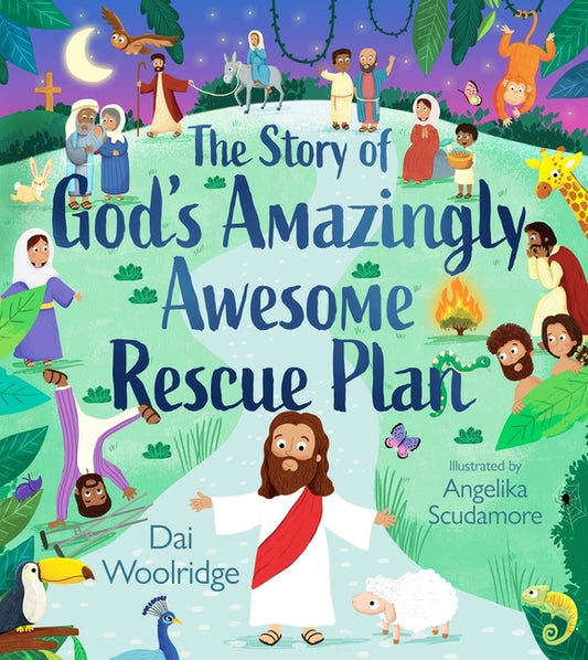 Story of God's Amazingly Awesome Rescue Plan - Ingram