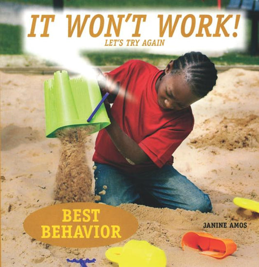 It Won't Work!: Let's Try Again - Ingram