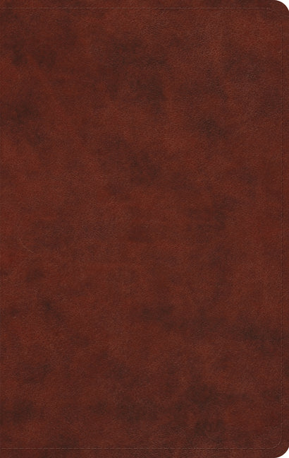 Large Print Value Thinline Bible-ESV - Ingram