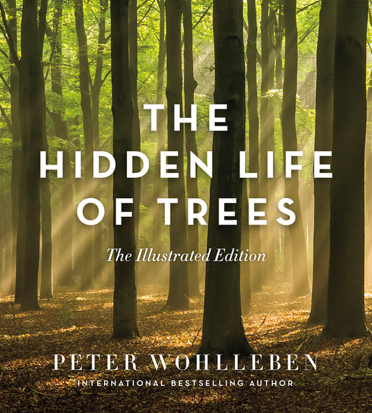 Hidden Life of Trees: The Illustrated Edition - Ingram