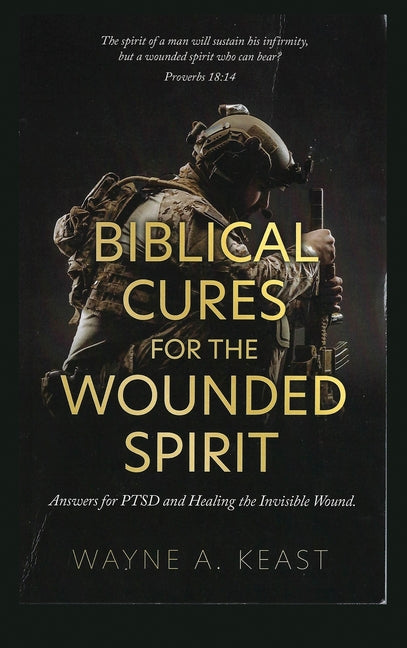Biblical Cures for the Wounded Spirit: Answers for PTSD and Healing the Invisible Wound - Ingram