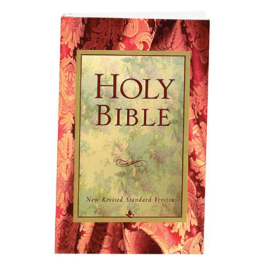 Holy Bible-NRSV - Ingram