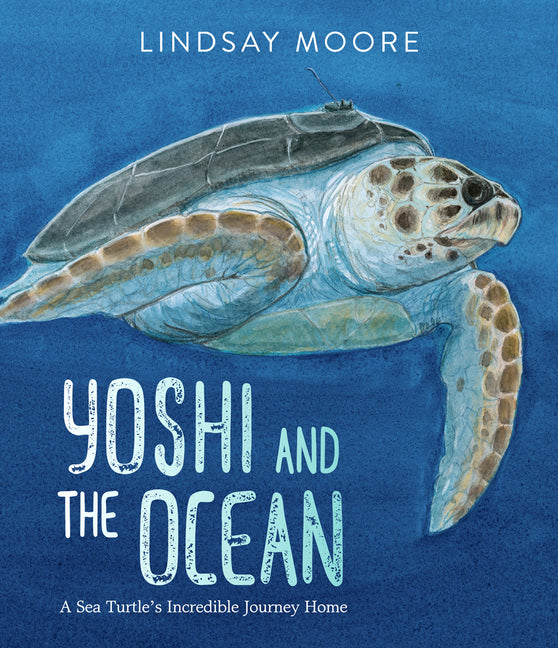Yoshi and the Ocean: A Sea Turtle's Incredible Journey Home - Ingram