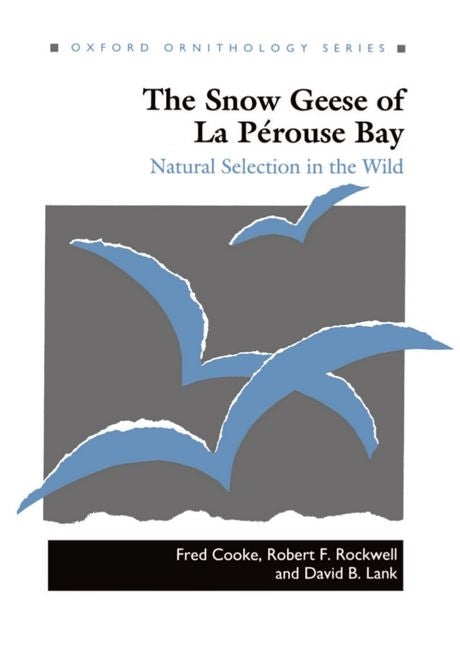Snow Geese of La Perouse Bay: Natural Selection in the Wild - Ingram