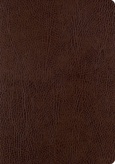 ESV Single Column Journaling Bible, Large Print (Mocha) - Ingram
