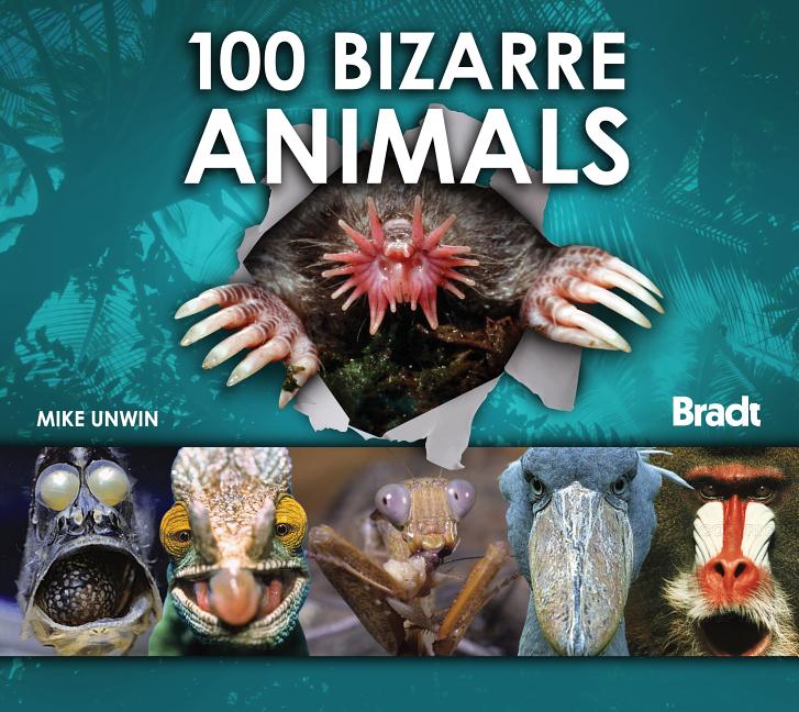 100 Bizarre Animals - Ingram