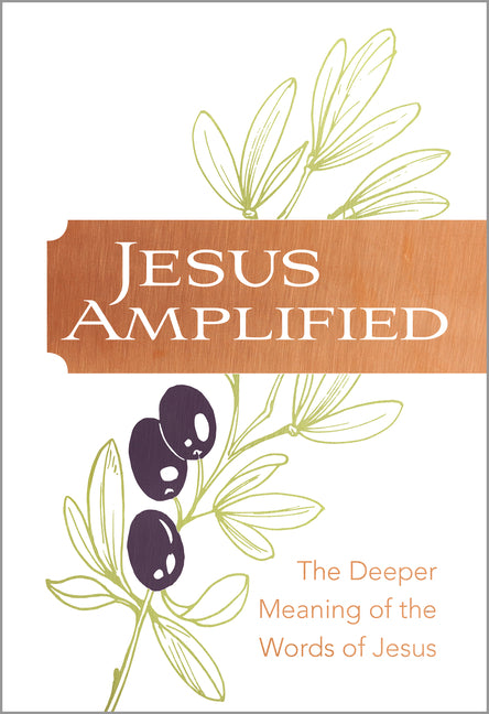Jesus Amplified: The Deeper Meaning of the Words of Jesus - Ingram