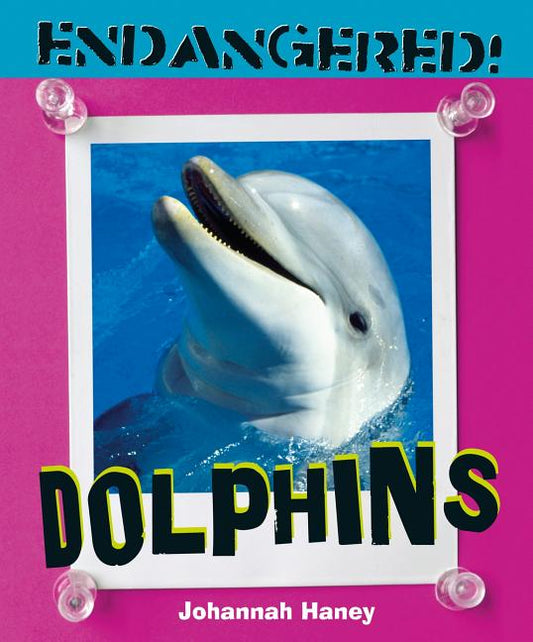 Dolphins - Ingram