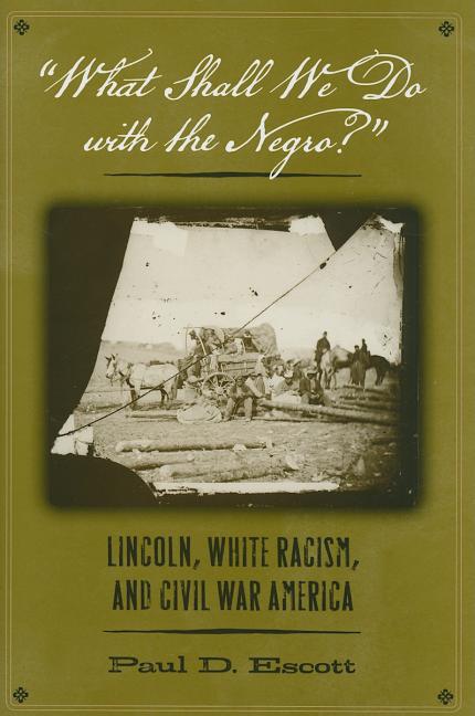 What Shall We Do with the Negro?: Lincoln, White Racism, and Civil War America - Ingram