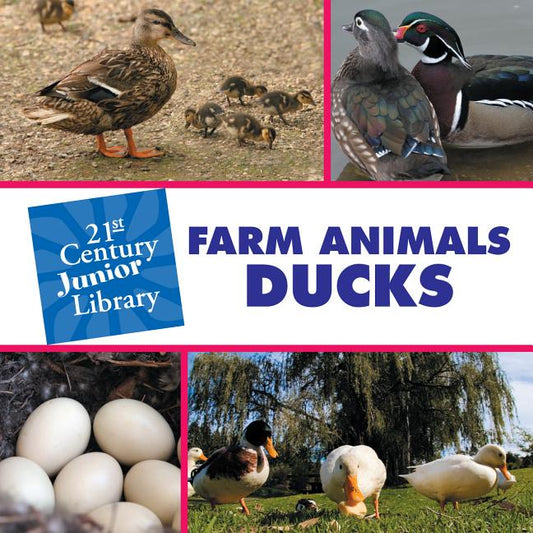 Farm Animals: Ducks - Ingram