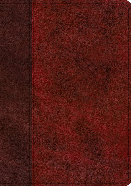 ESV Single Column Journaling Bible, Large Print (Trutone, Burgundy/Red, Timeless Design) - Ingram