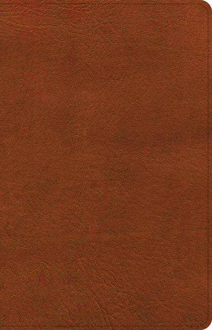 NASB Large Print Thinline Bible, Burnt Sienna Leathertouch - Ingram