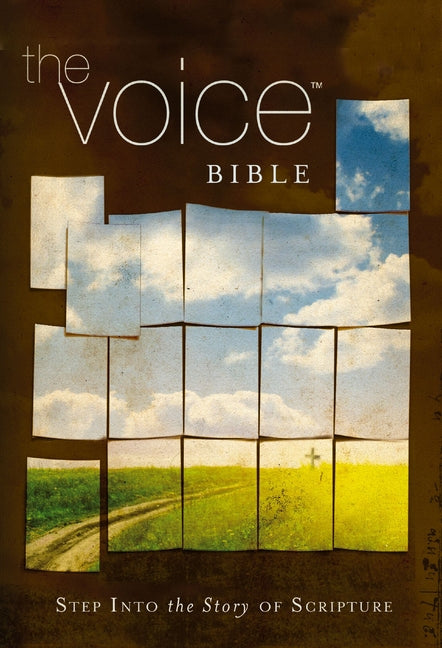 Voice Bible-VC: Step Into the Story of Scripture - Ingram