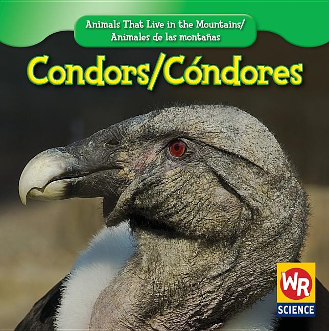 Condors / Cóndor - Ingram