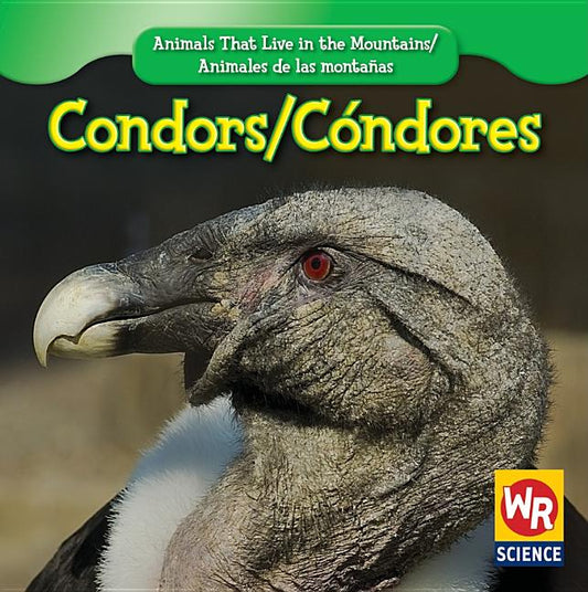 Condors / Cóndor - Ingram
