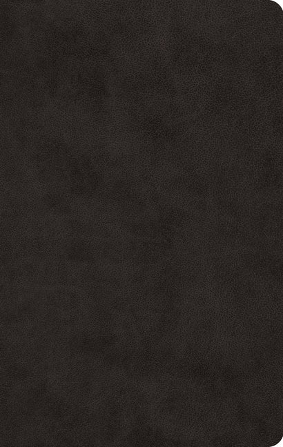 ESV Large Print Value Thinline Bible (Trutone, Black) - Ingram