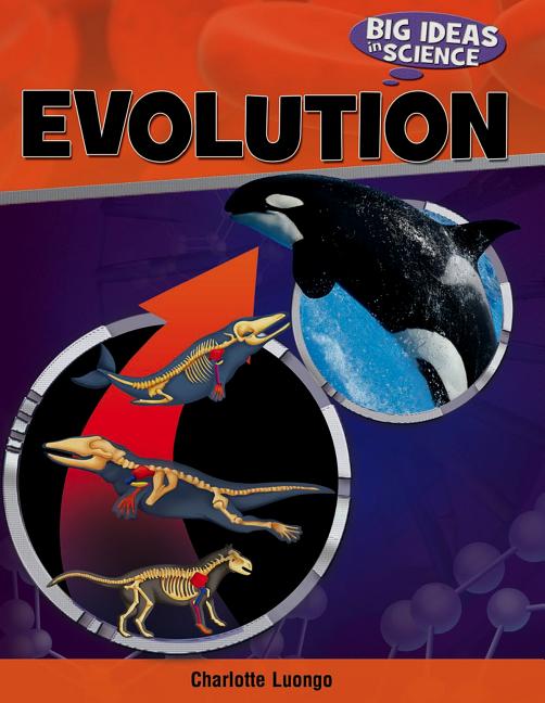 Evolution - Ingram