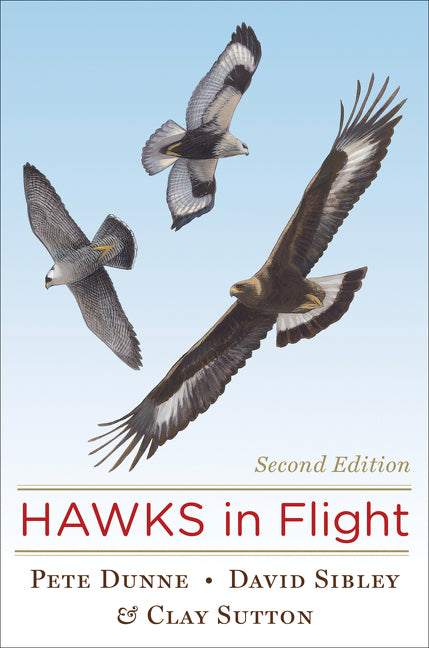 Hawks in Flight - Ingram