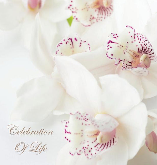 Celebration of Life, In Loving Memory Funeral Guest Book, Wake, Loss, Memorial Service, Love, Condolence Book, Funeral Home, Missing You, Church, Thou - Ingram