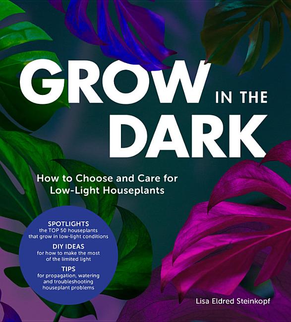 Grow in the Dark: How to Choose and Care for Low-Light Houseplants - Ingram