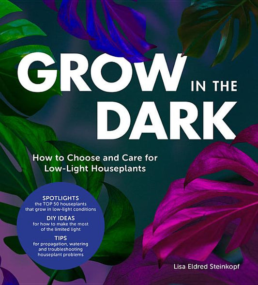Grow in the Dark: How to Choose and Care for Low-Light Houseplants - Ingram