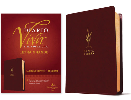 Biblia de Estudio del Diario Vivir Rvr60, Letra Grande (Sentipiel, Vino Tinto, Letra Roja) - Ingram