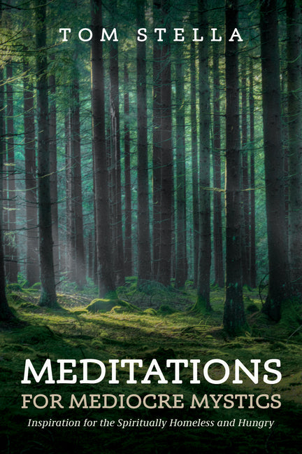 Meditations for Mediocre Mystics - Ingram