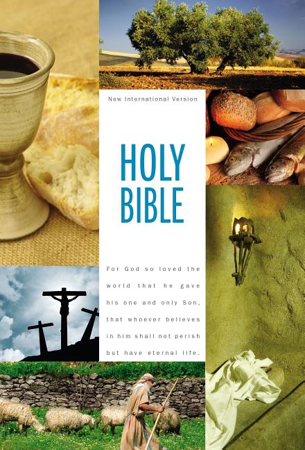 Textbook Bible-NIV - Ingram