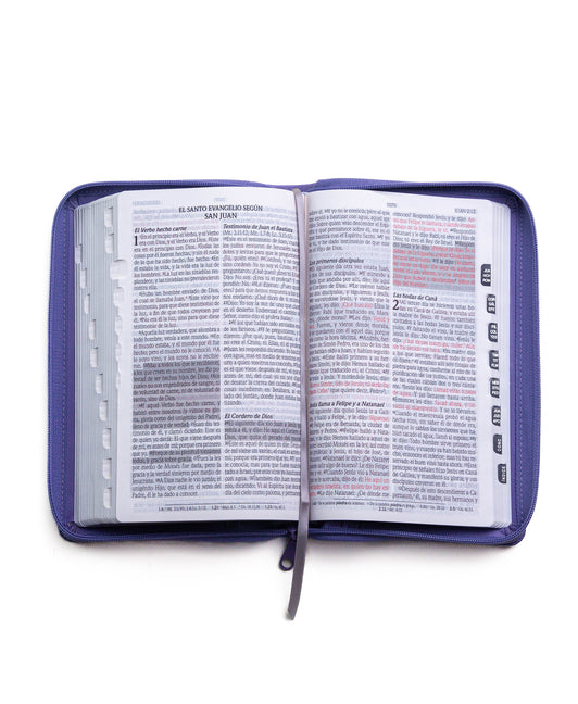 Santa Biblia de Promesas Reina Valera 1960 / Tamaño Manual / Letra Grande / Piel Especial Con Índice Y Cierre / Lavanda // Spanish Promise Bible Rvr60 - Ingram