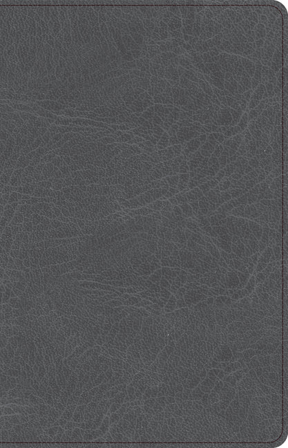 CSB Thinline Bible, Charcoal Leathertouch - Ingram