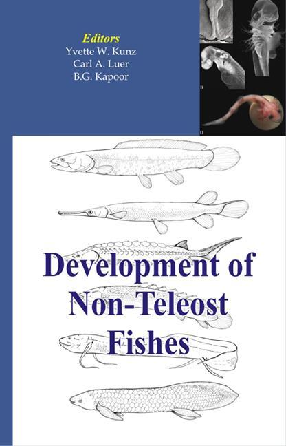 Development of Non-Teleost Fishes - Ingram