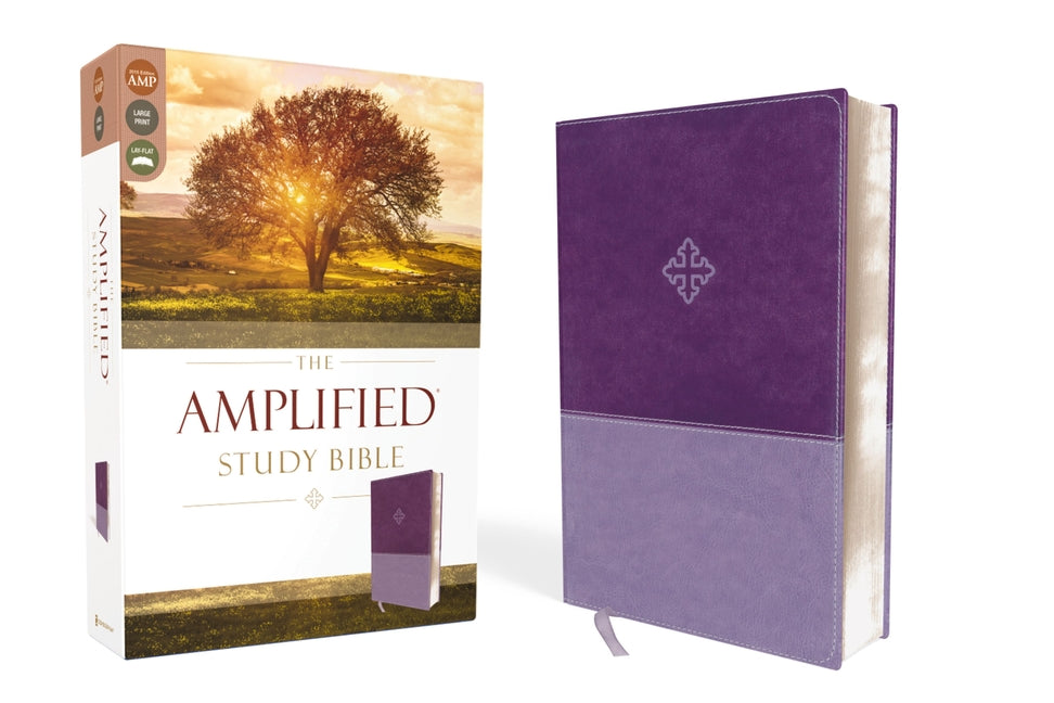 Amplified Study Bible, Imitation Leather, Purple - Ingram