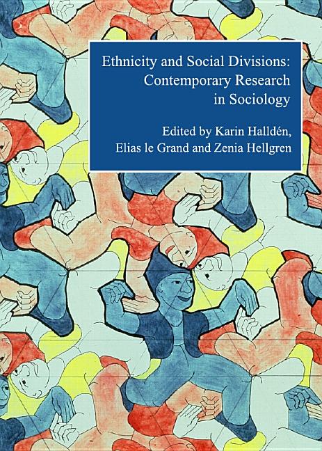 Ethnicity and Social Divisions: Contemporary Research in Sociology - Ingram