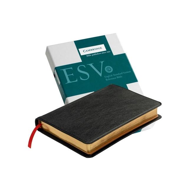 Pitt Minion Reference Bible-ESV - Ingram