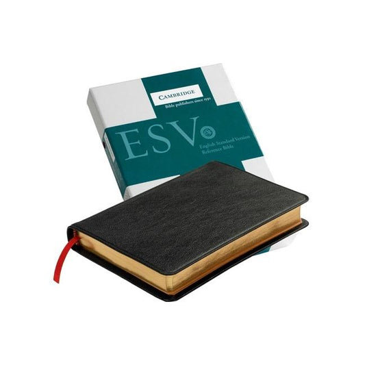 Pitt Minion Reference Bible-ESV - Ingram
