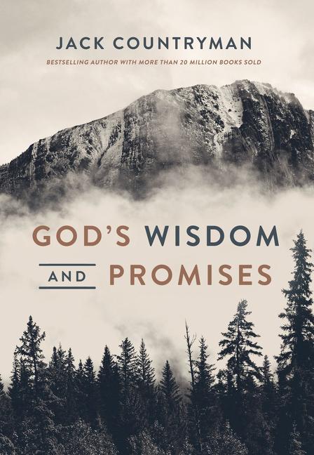 God's Wisdom and Promises: Navigate Life's Challenges with God's Word as Your Guide - Ingram