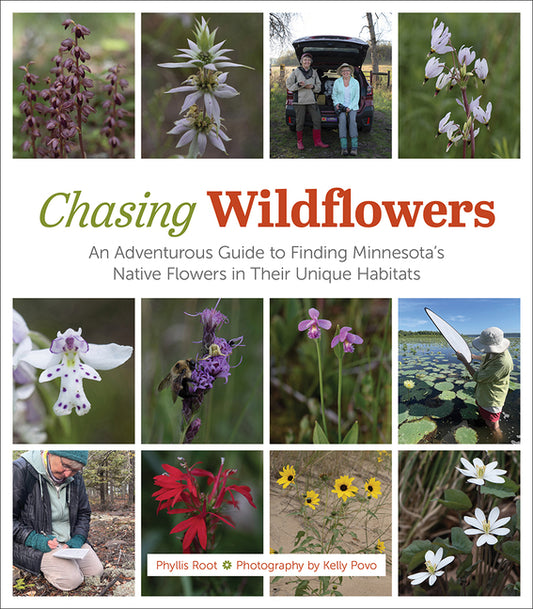 Chasing Wildflowers: An Adventurous Guide to Finding Minnesota's Native Flowers in Their Unique Habitats - Ingram