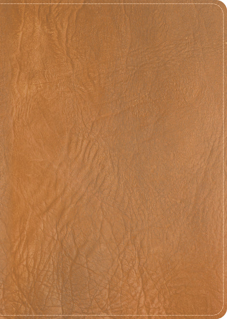 CSB He Reads Truth Bible, Holman Handcrafted Collection, Saddle Brown Premium Calfskin - Ingram
