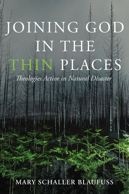 Joining God in the Thin Places: Theologies Active in Natural Disaster - Ingram