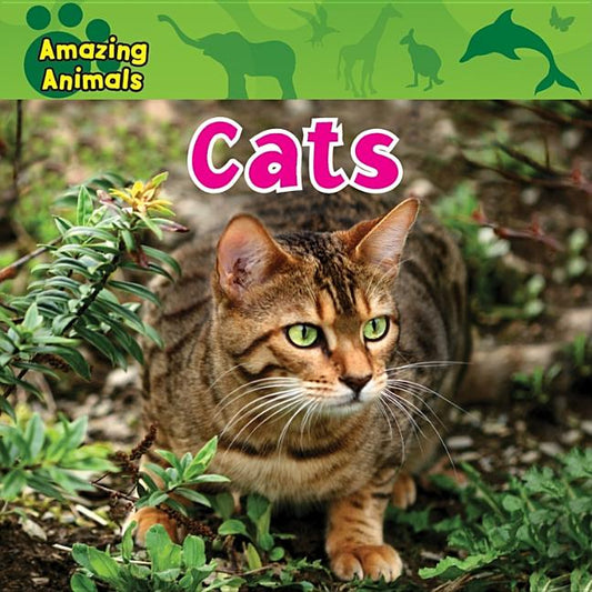Cats - Ingram