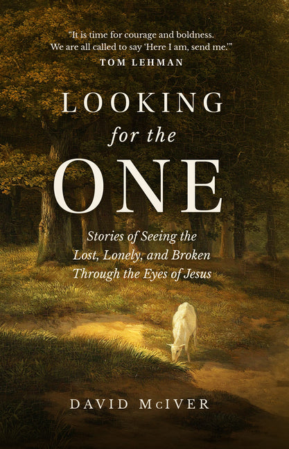 Looking for the One: Stories of Seeing the Lost, Lonely, and Broken Through the Eyes of Jesus - Ingram