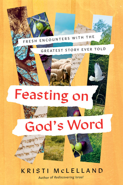 Feasting on God's Word: Fresh Encounters with the Greatest Story Ever Told - Ingram