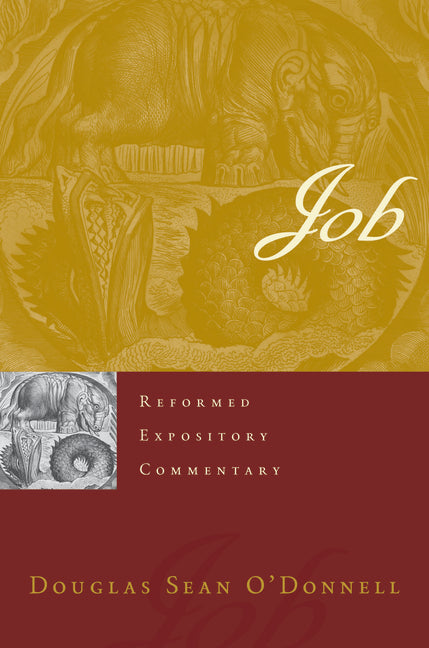 Job - Ingram