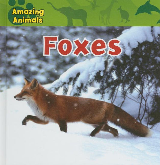 Foxes - Ingram
