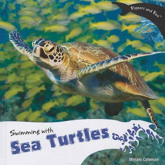 Swimming with Sea Turtles - Ingram