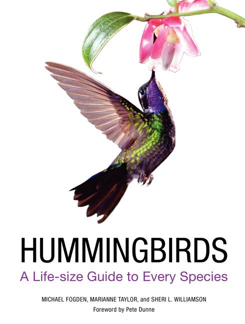 Hummingbirds: A Life-Size Guide to Every Species - Ingram