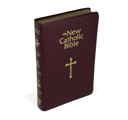 Ncb Gift & Award Bible - Ingram