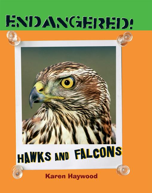 Hawks and Falcons - Ingram